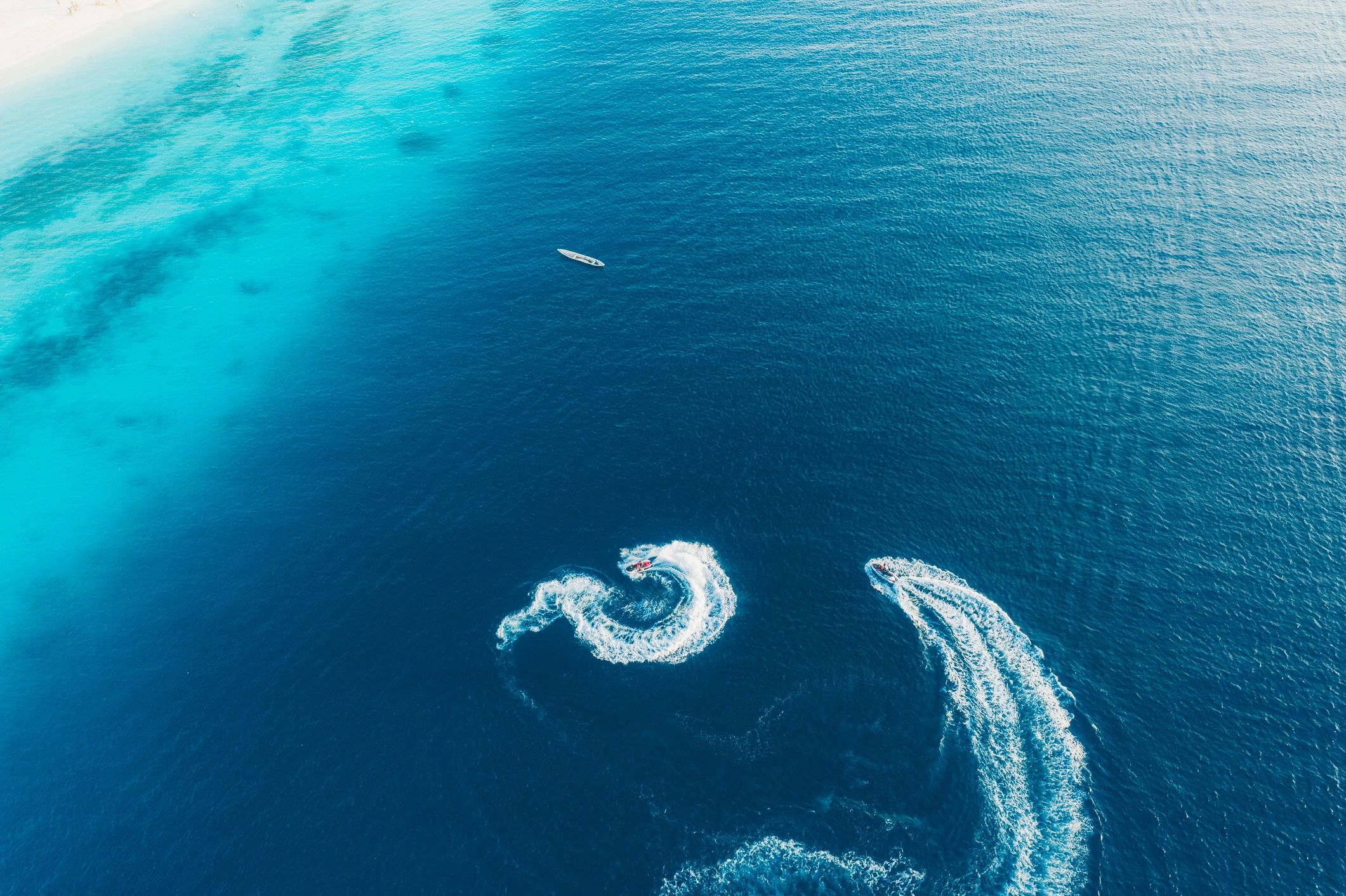 Happy cruise traveler testimonial
